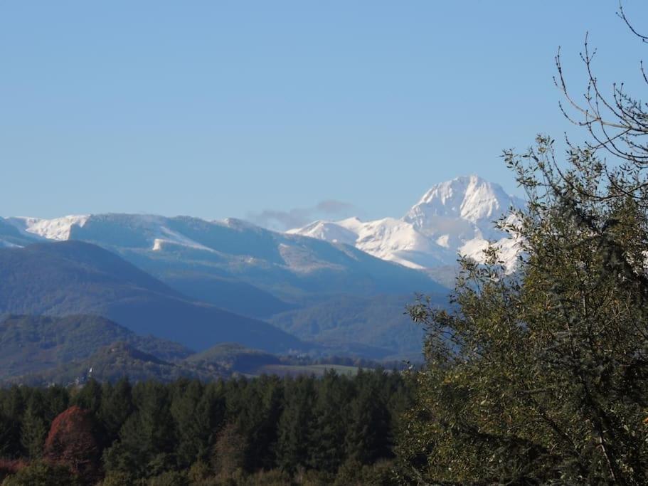 Cabane Dans Les Bois Avec Vue Sur Les Pyrenees Saint-Laurent-de-Neste Buitenkant foto