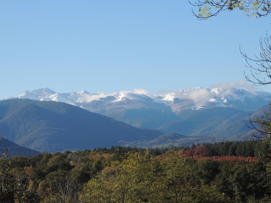 Cabane Dans Les Bois Avec Vue Sur Les Pyrenees Saint-Laurent-de-Neste Buitenkant foto